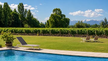 Outdoor pool, pool umbrellas, sun loungers