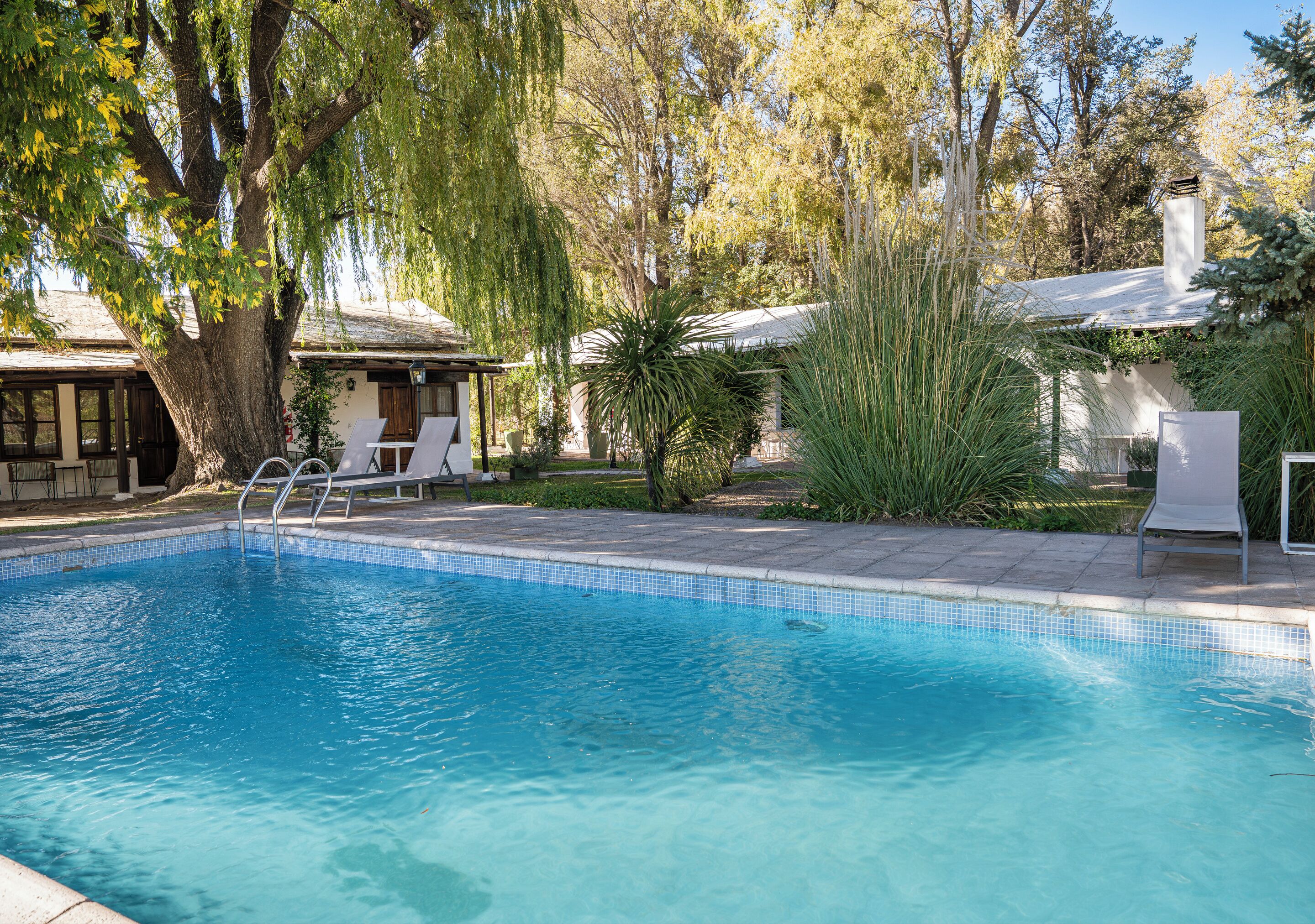 Una piscina con borde de azulejos, rodeada de árboles y un edificio con zona de patio techada.
