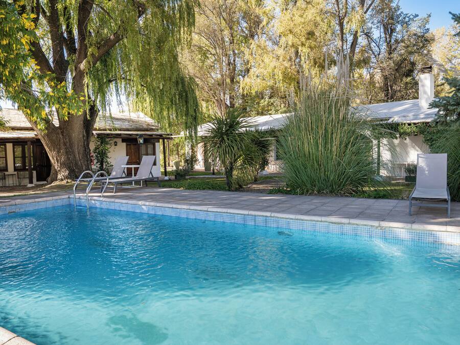 A swimming pool with a tiled edge, surrounded by trees and a building with a covered patio area.