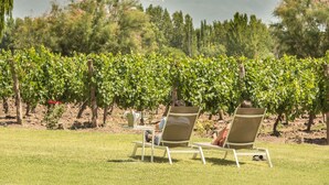 A vineyard with rows of grapevines and a person relaxing on a chair with a view of the mountains in the background. - Postales Finca & Bodega by DOT Boutique (Tunuyan)