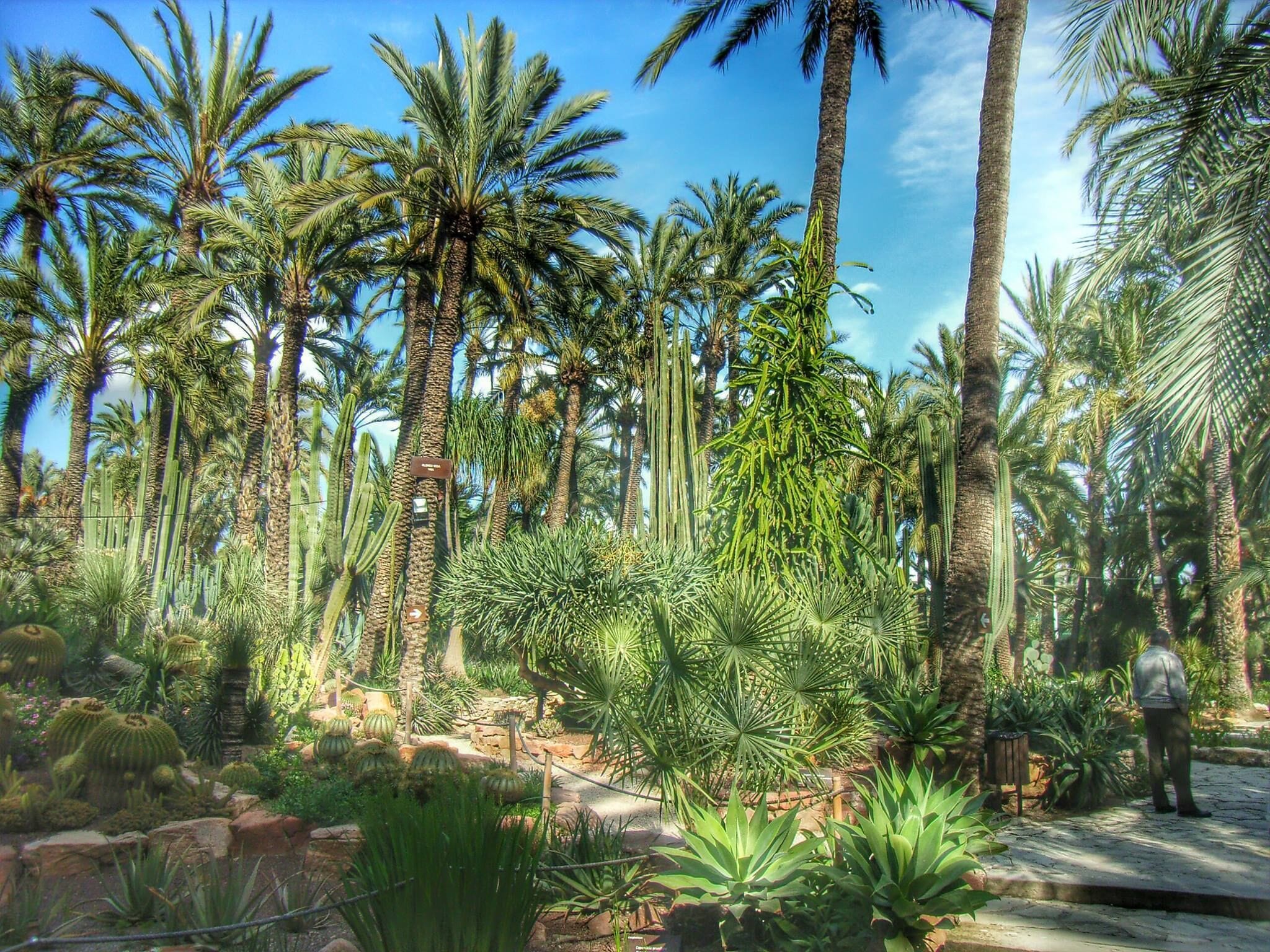 Photo - Hotel AG Express Elche