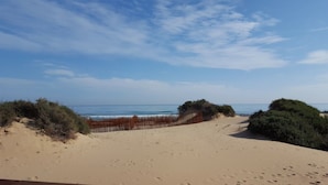 A sandy beach with dunes and sparse vegetation. - Hotel AG Express Elche (Elche)