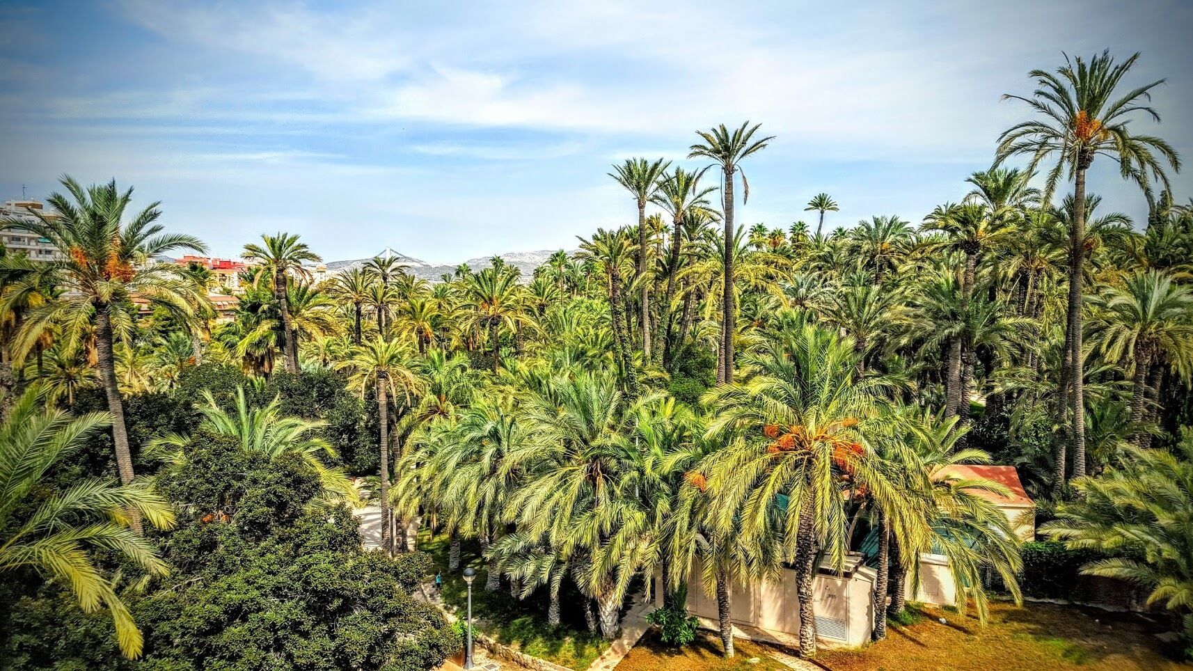 Photo - Hotel AG Express Elche