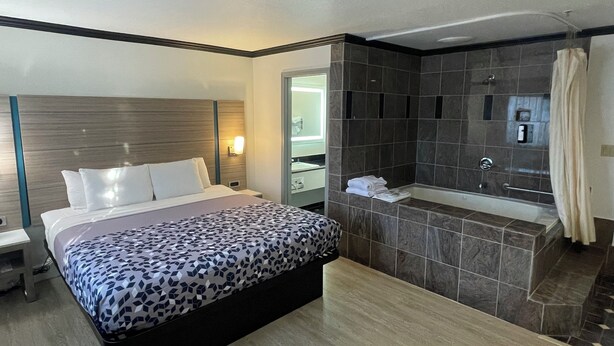 Una habitación de hotel con cama, baño con bañera y ducha.