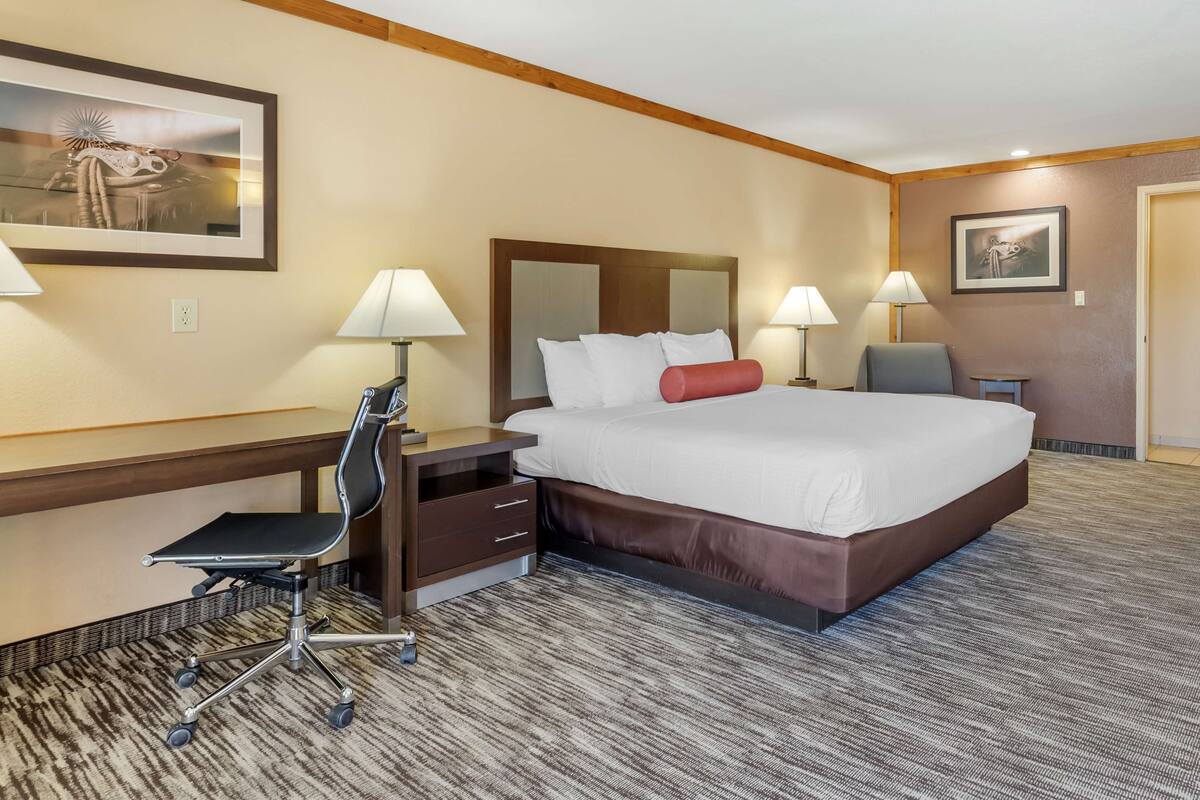 Una habitación de hotel con una cama grande, un escritorio con una silla, dos lámparas y un cuadro en la pared.