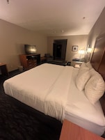 A hotel room with a large bed, a television, a desk, and a chair.