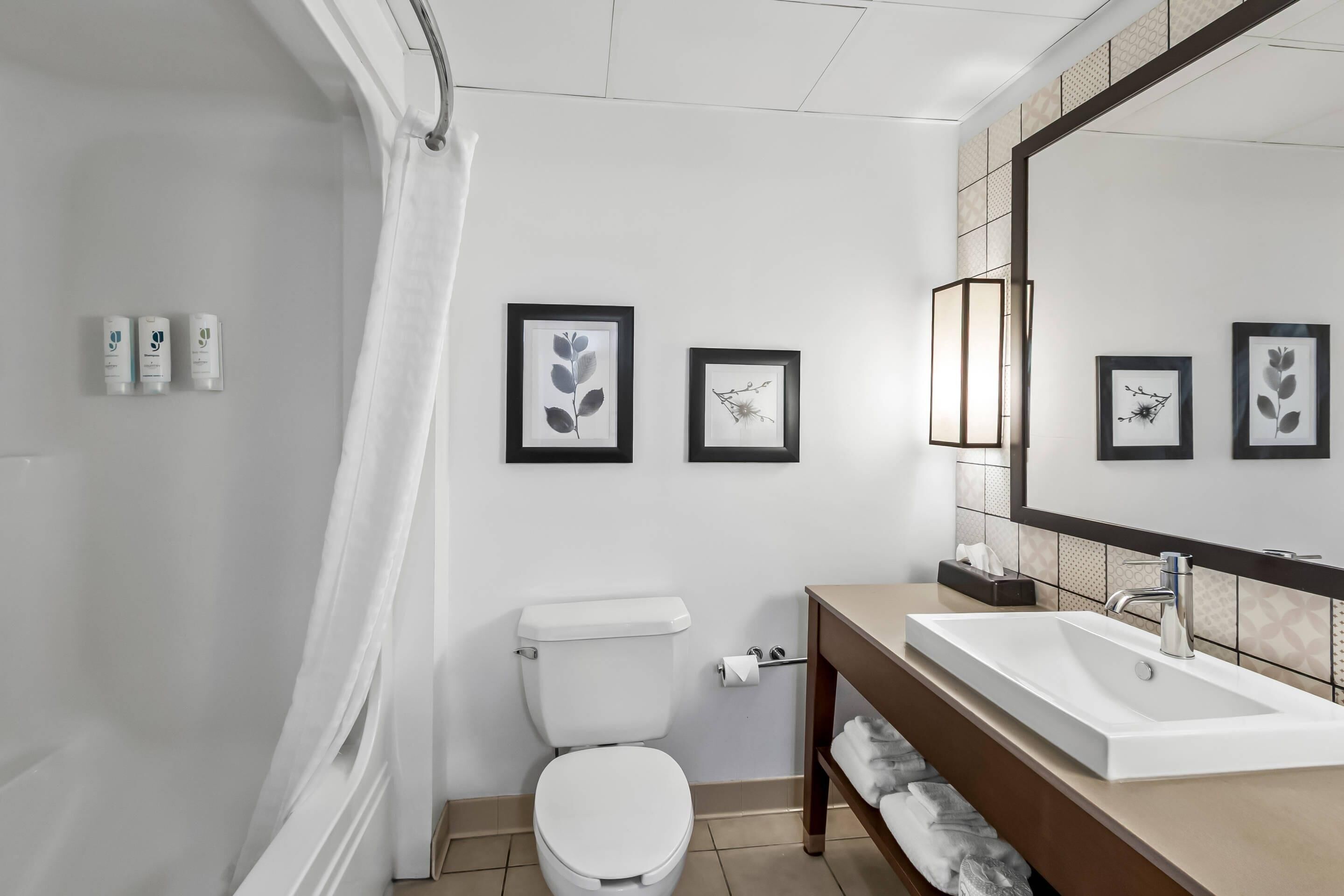 Un baño moderno con inodoro, lavamanos y espejo, una obra de arte enmarcada en la pared y una cortina de ducha.