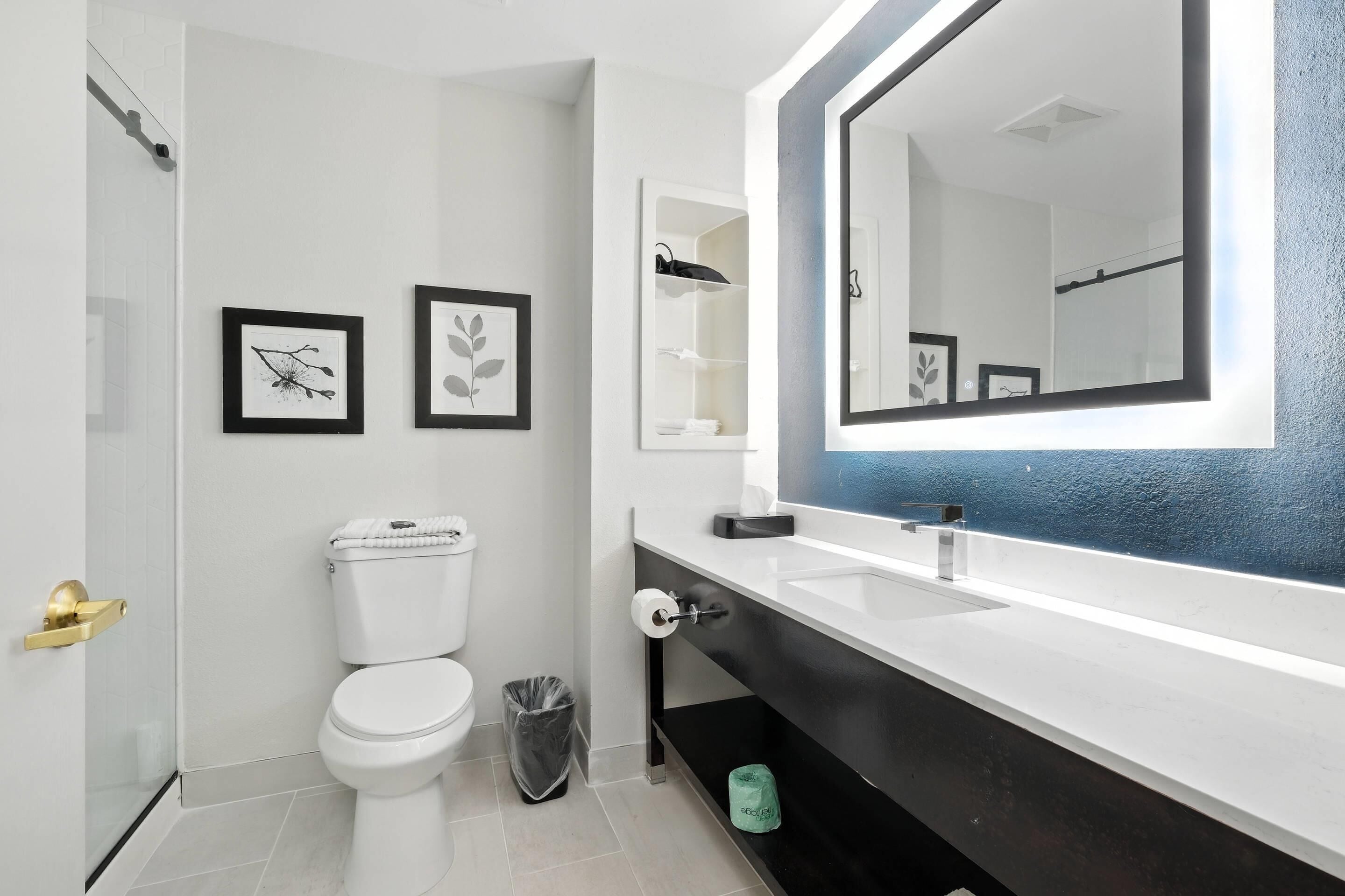 Une salle de bain moderne avec des toilettes, un lavabo et un grand miroir. Deux tableaux encadrés sont accrochés au mur.