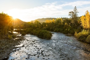 Un río que serpentea por una zona boscosa, con el sol reflejándose en el agua.
