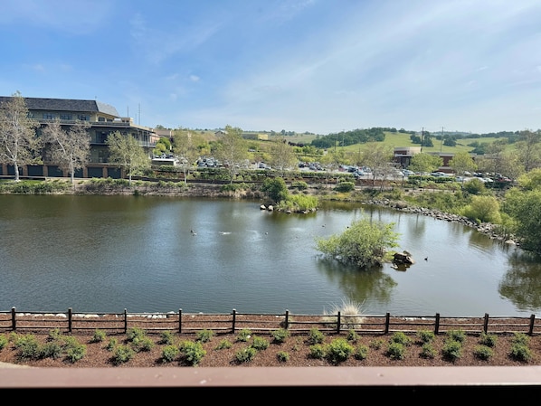 A lake with a wooden fence in the foreground, surrounded by greenery and buildings in the background. - Holiday Inn Express & Suites El Dorado Hills by IHG (El Dorado Hills)
