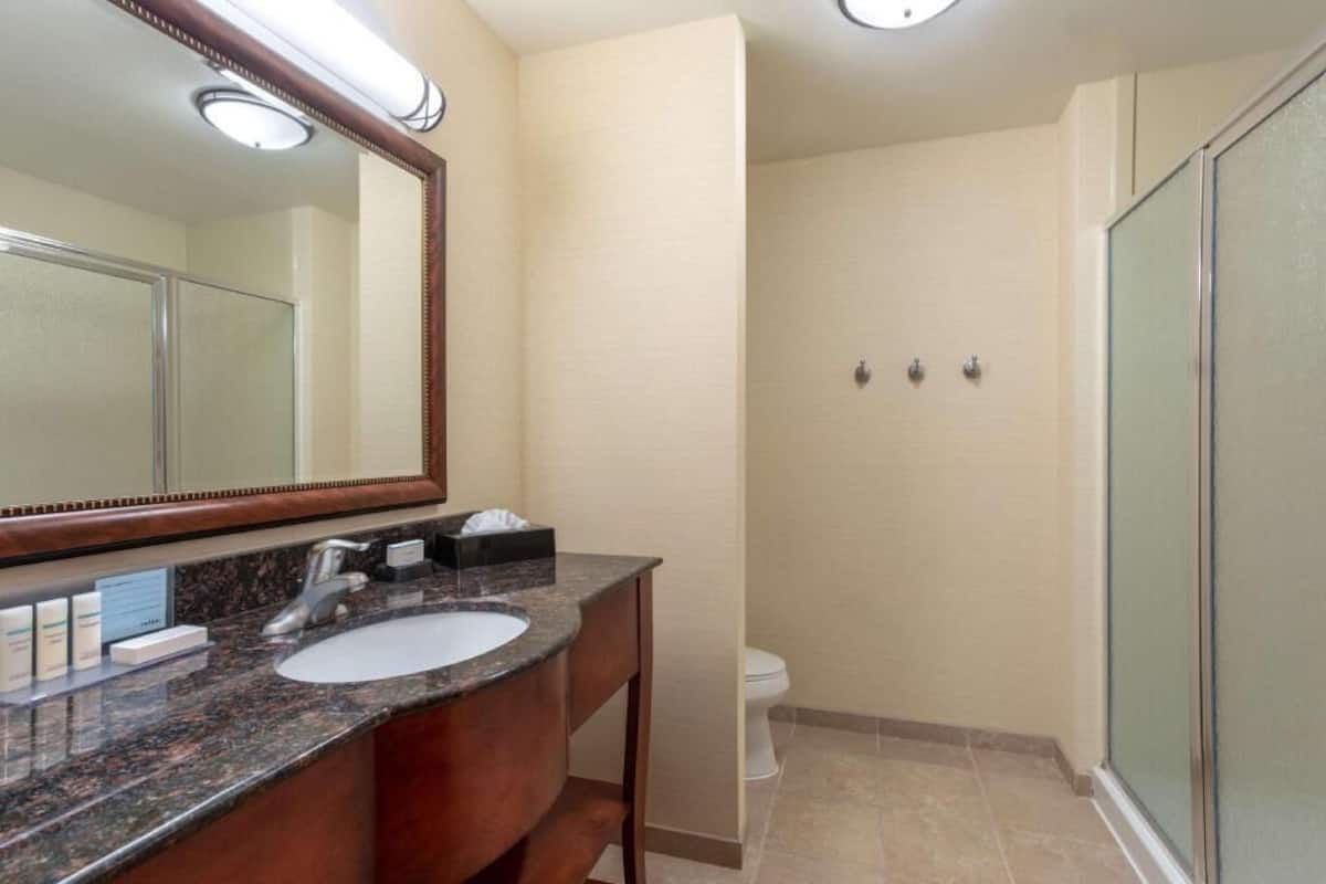 A bathroom with a marble sink, a large mirror, a toilet, and a glass shower enclosure.