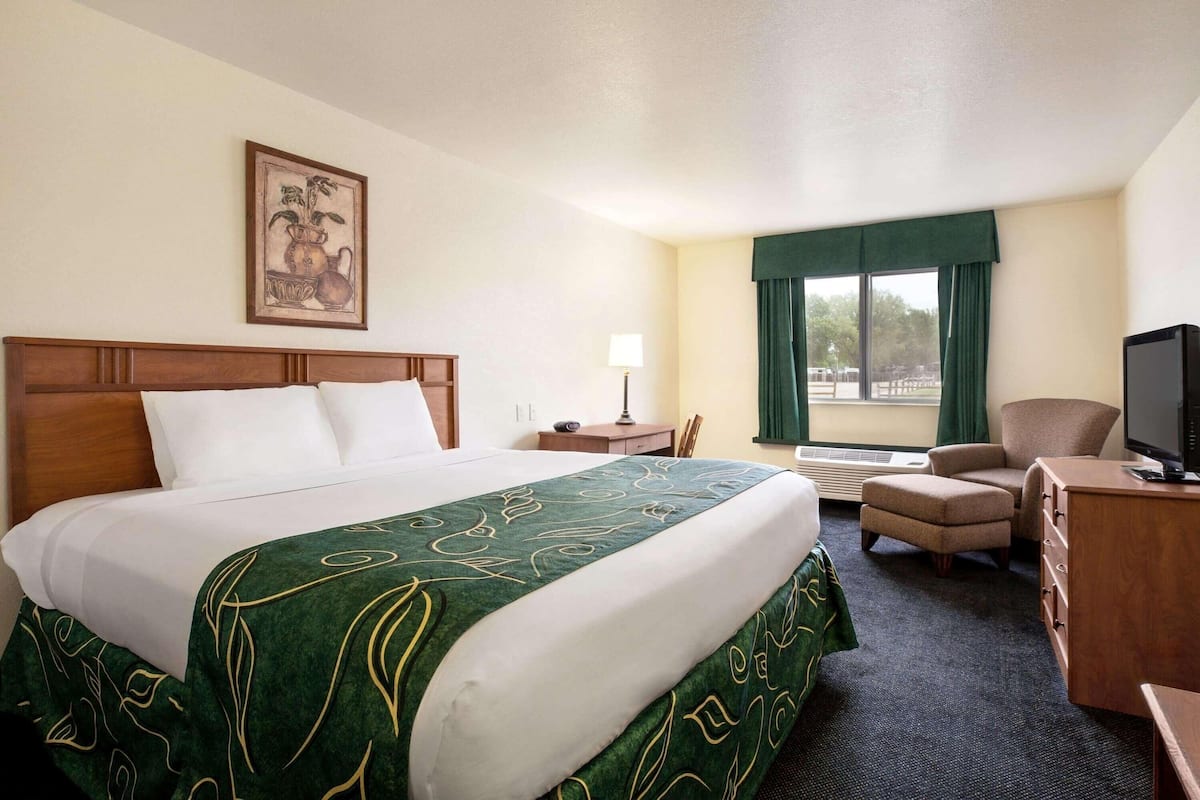A hotel room with a bed, a desk, a chair, a television, and a window with curtains.