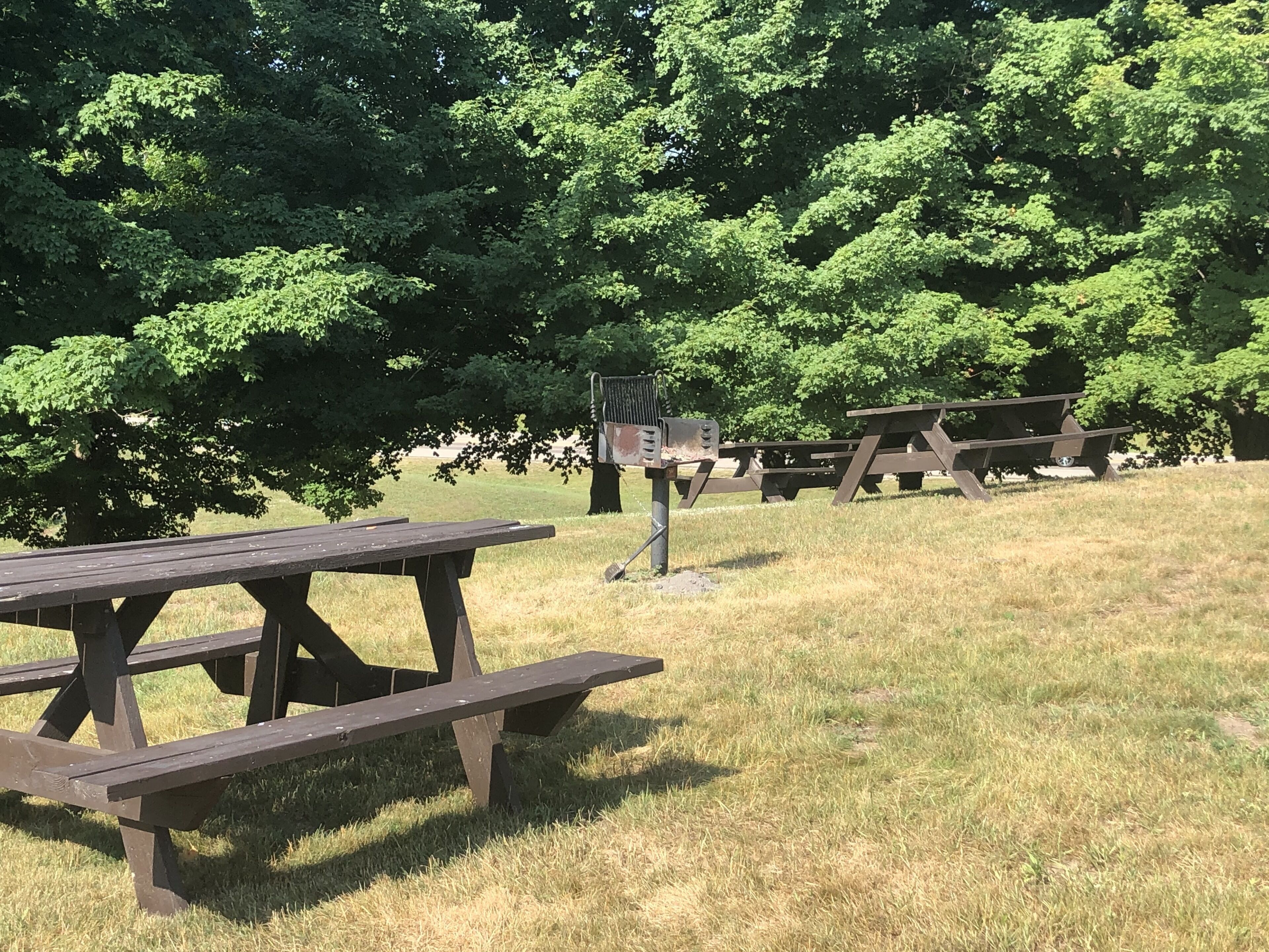 A picnic area with wooden picnic tables and benches, surrounded by trees.