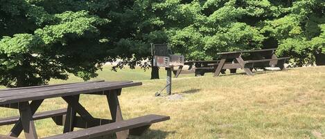 A picnic area with wooden picnic tables and benches, surrounded by trees.