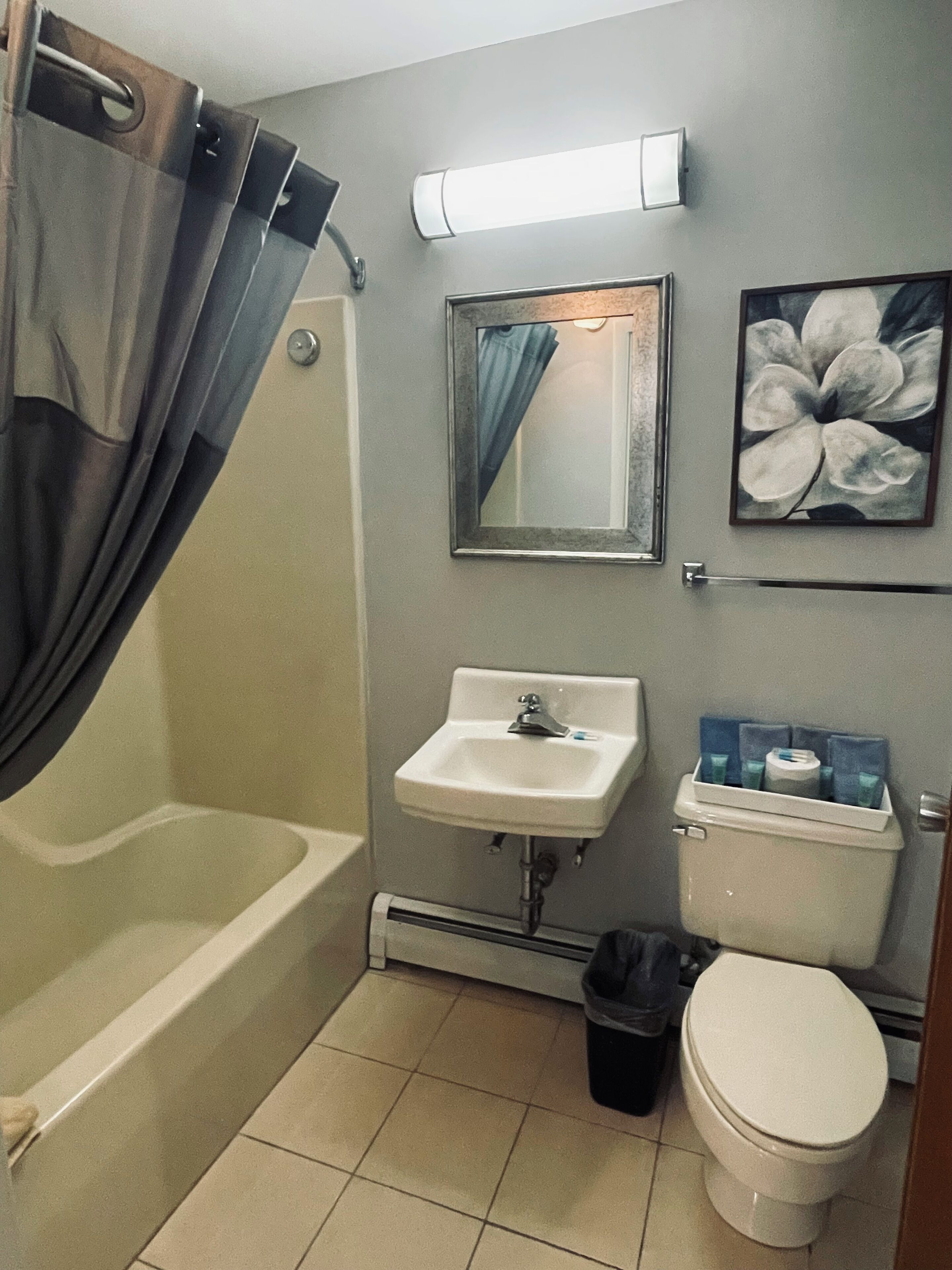 Ein Badezimmer mit Badewanne, Waschbecken, Toilette und Duschvorhang.