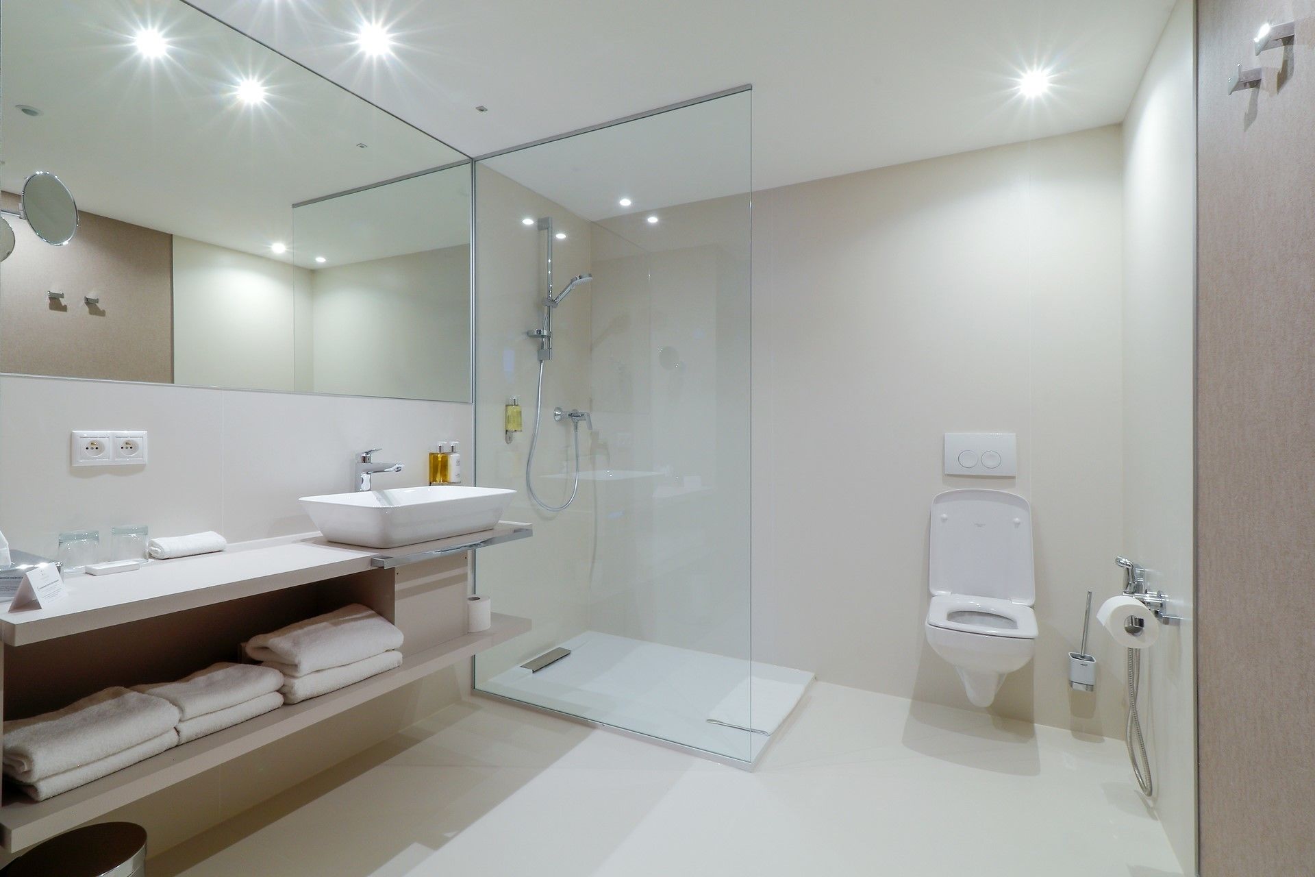 A modern bathroom with a glass shower enclosure, a white sink, and a toilet.
