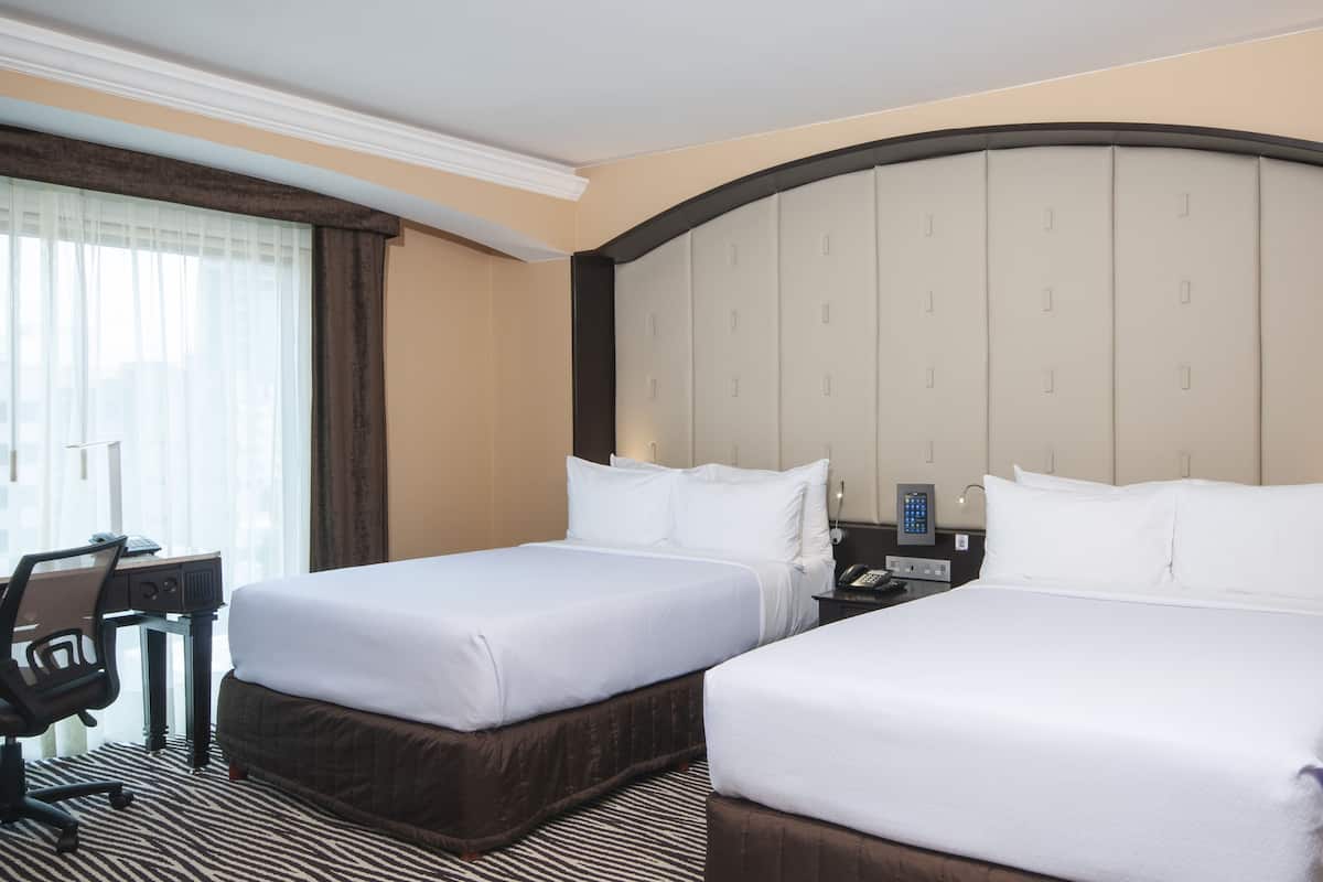 Couette en duvet d'oie, articles gratuits dans le mini-bar