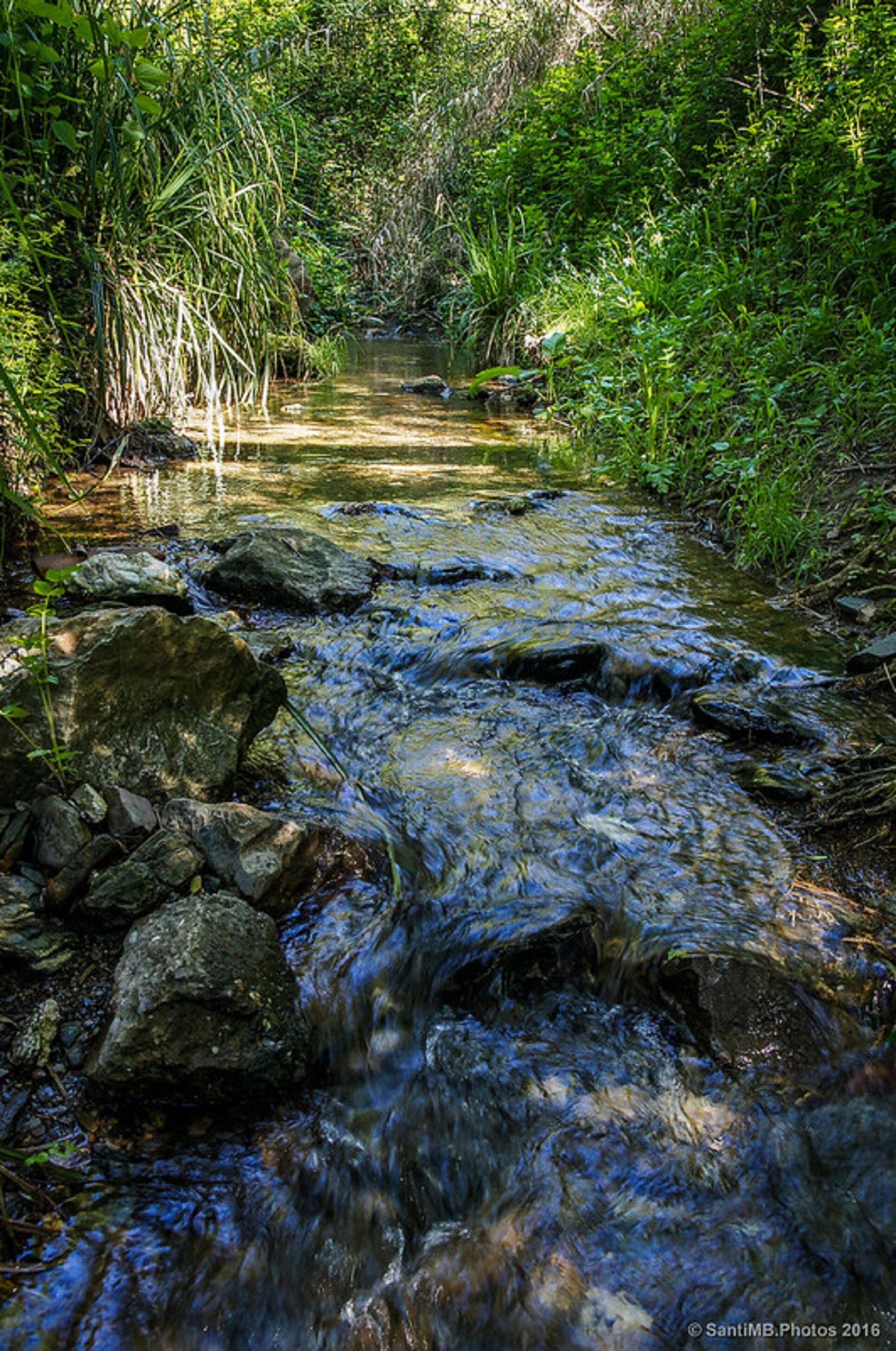 Photo - Holiday Inn Express Molins de Rei by IHG