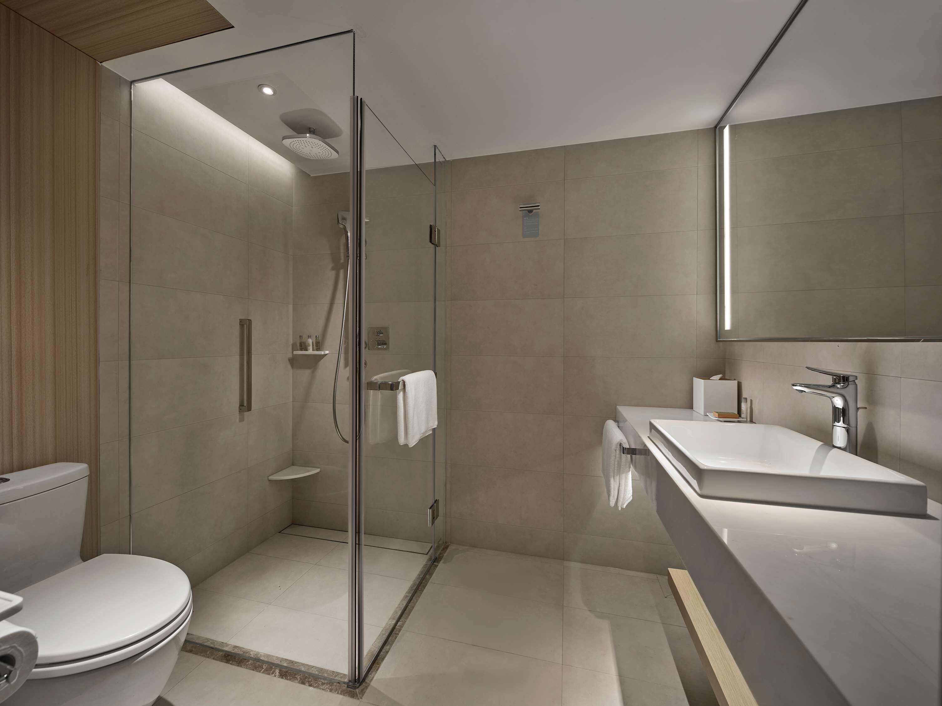 A modern bathroom with a glass-enclosed shower, a white toilet, and a large mirror above the sink.