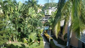 A pathway lined with palm trees and well-maintained greenery, leading to a building with a pool. - El Tropicano (Acapulco)