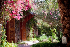 Junior Suite | View from property - Dar Ayniwen Garden Hotel & Bird Zoo (Marrakech)