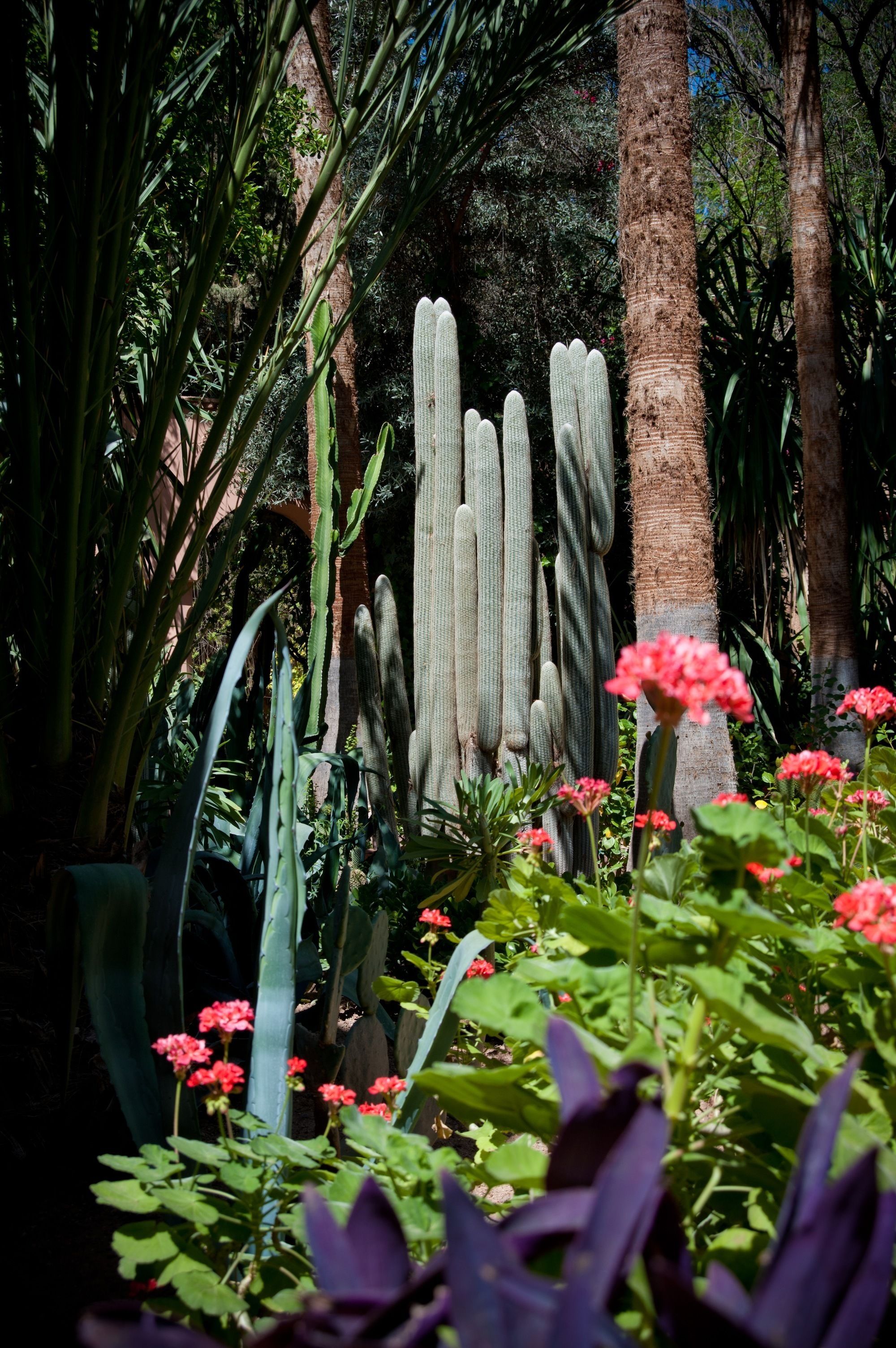 Foto - Dar Ayniwen Garden Hotel & Bird Zoo