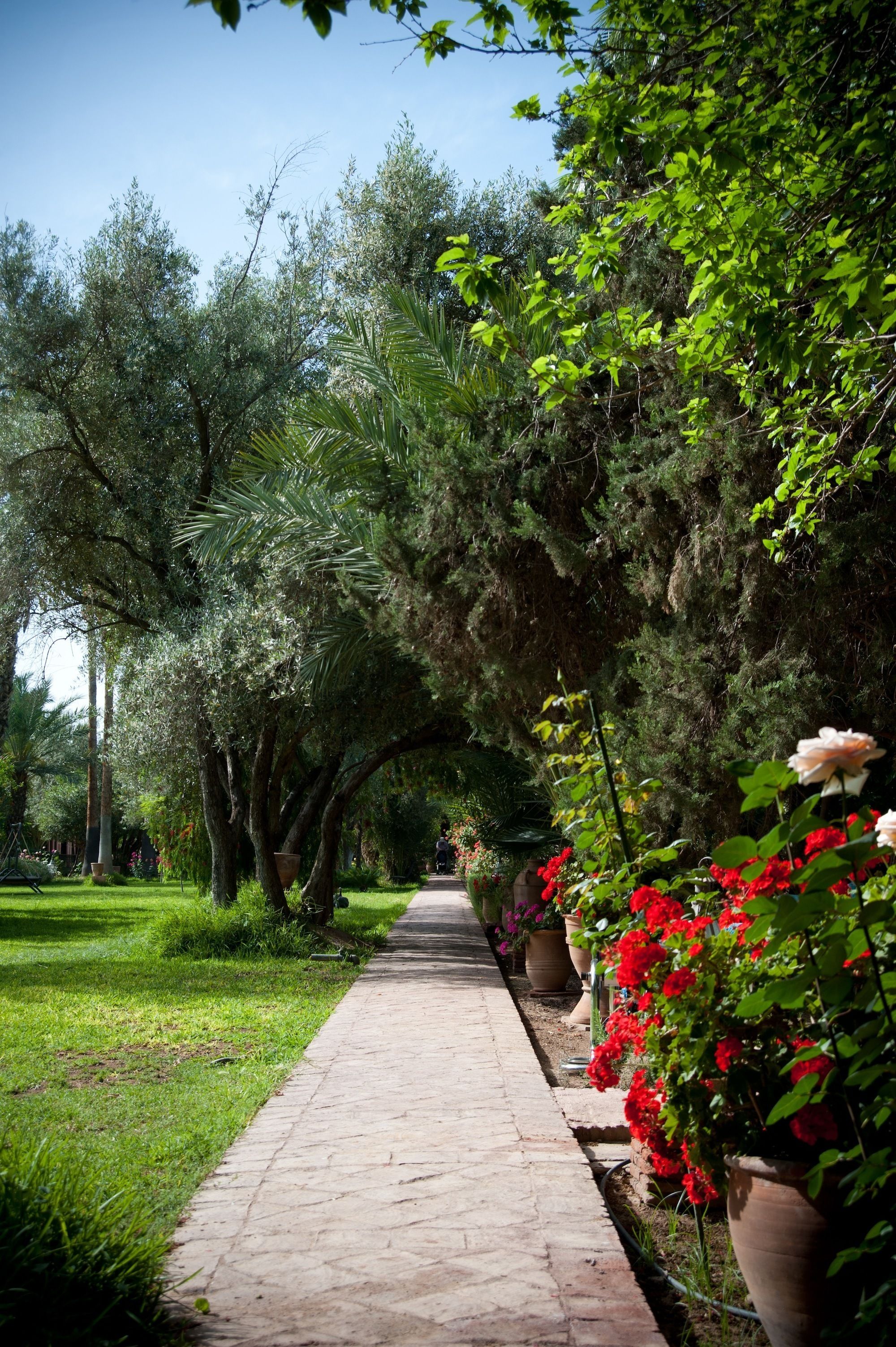 Foto - Dar Ayniwen Garden Hotel & Bird Zoo