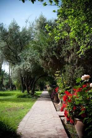 View from property - Dar Ayniwen Garden Hotel & Bird Zoo (Marrakech)