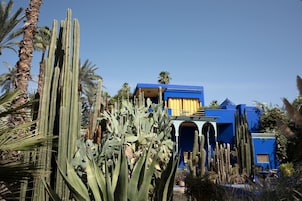Un edificio con paredes exteriores azules y amarillas, rodeado de cactus y palmeras.