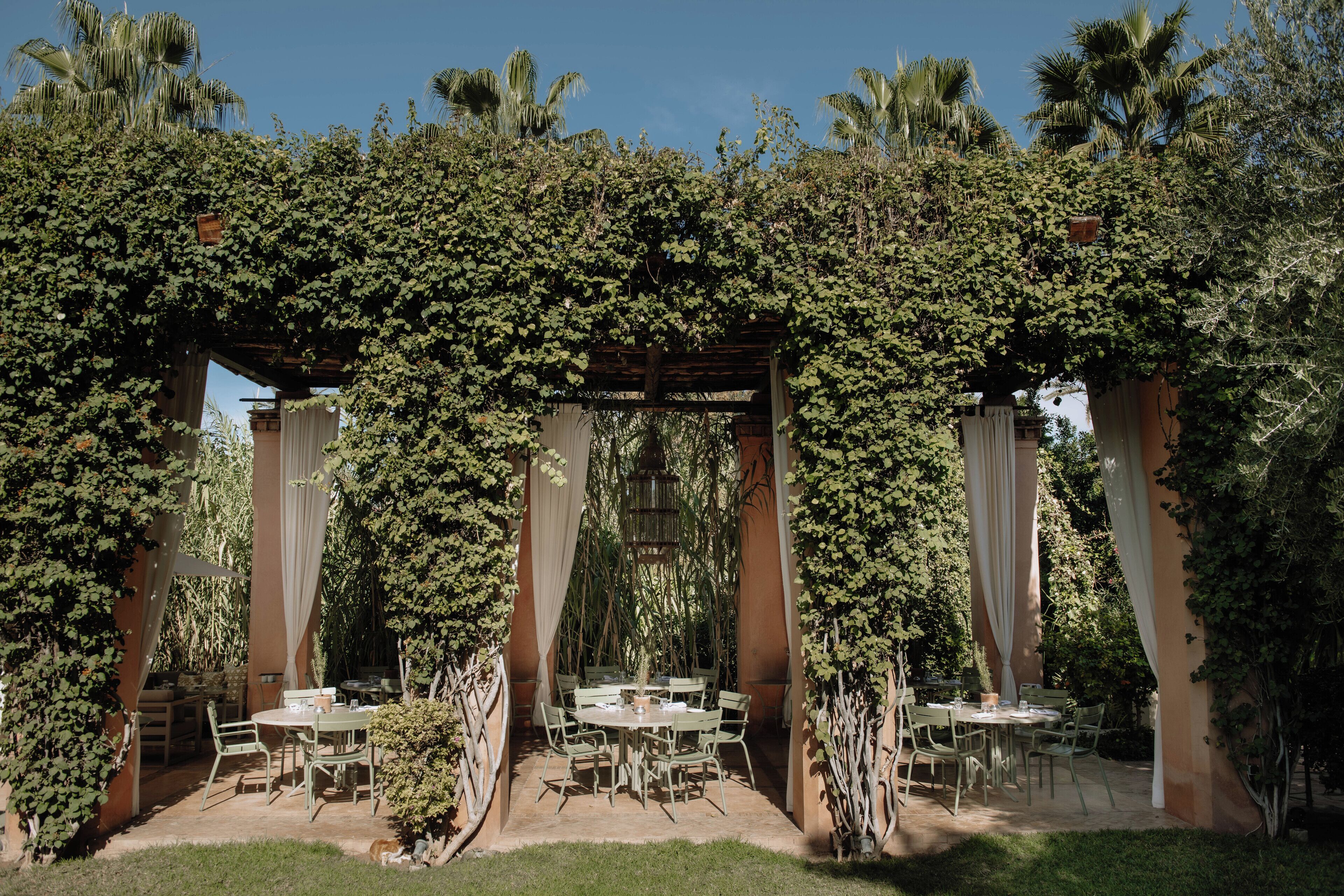 An outdoor patio with a pergola covered in vines, surrounded by tables and chairs.
