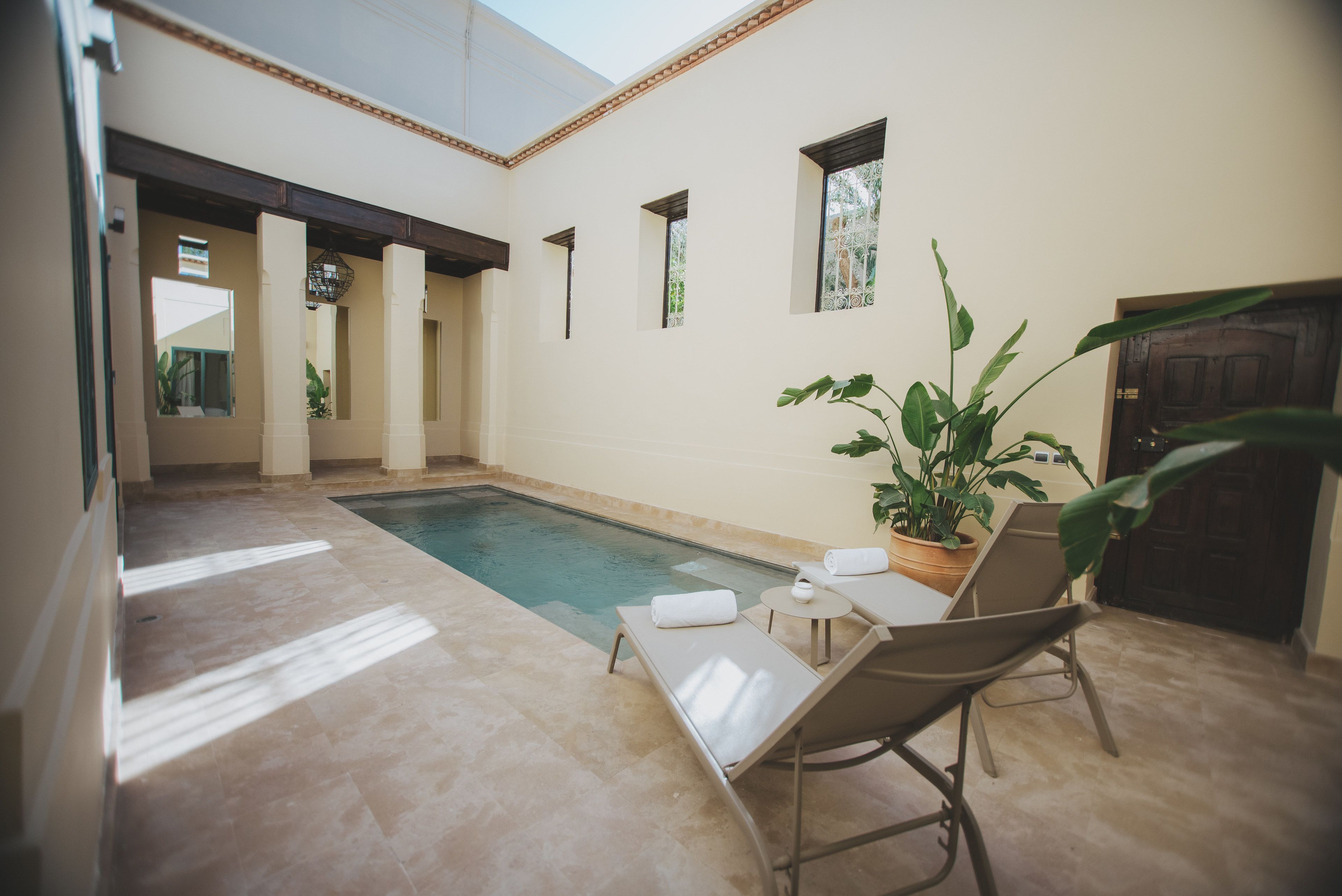 Un espace piscine avec des chaises longues et une plante en pot.