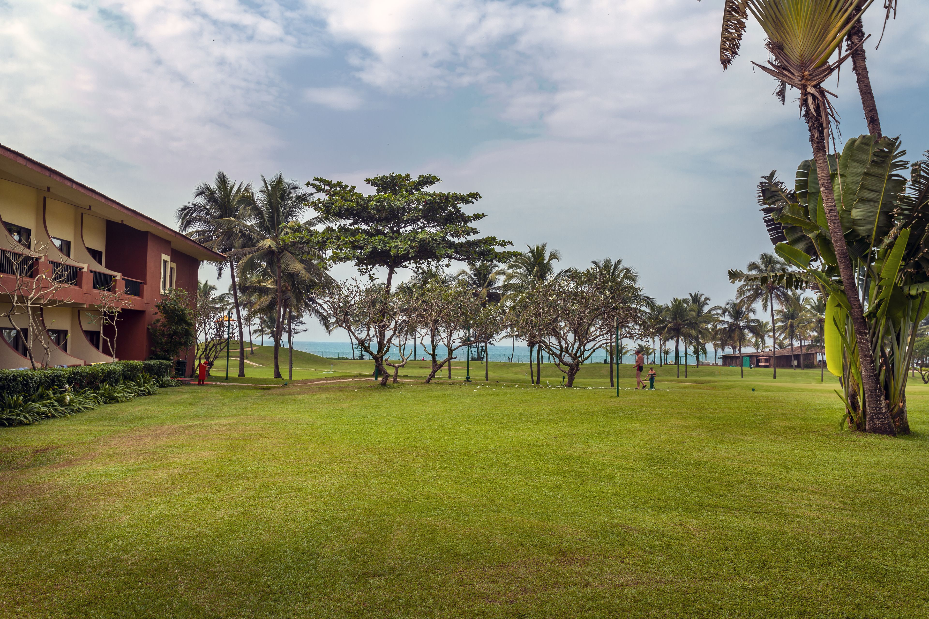 A grassy area with palm trees and a building with balconies.