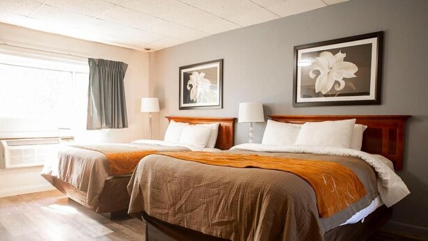 Room - Bedford Motel (Bedford)