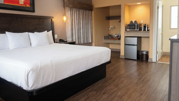 Une chambre d’hôtel avec un grand lit, un bureau doté d’un micro-ondes et un petit réfrigérateur.