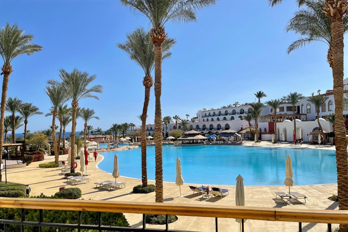 A resort pool area with palm trees, sun loungers, and a large pool.