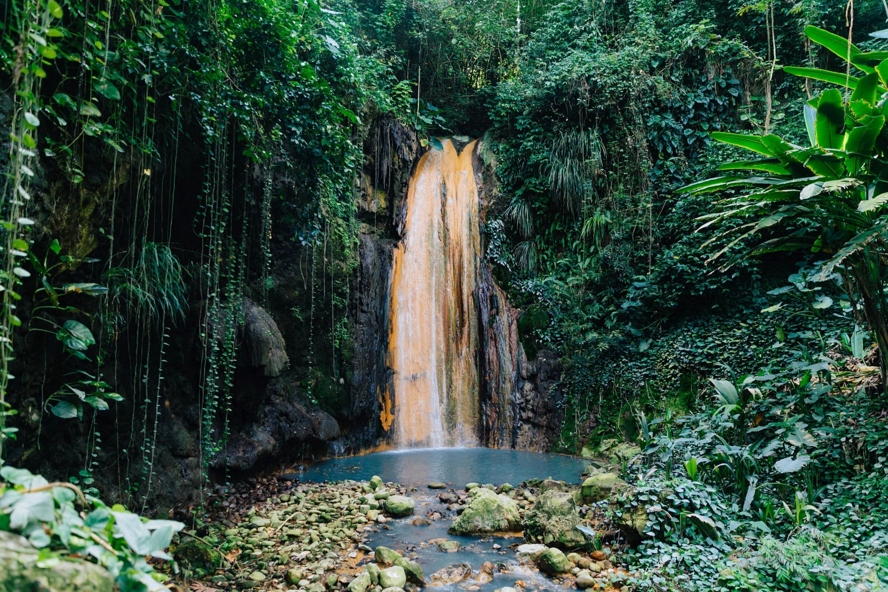 Una cascada rodeada de abundante vegetación.