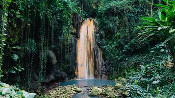 Una cascada rodeada de abundante vegetación.