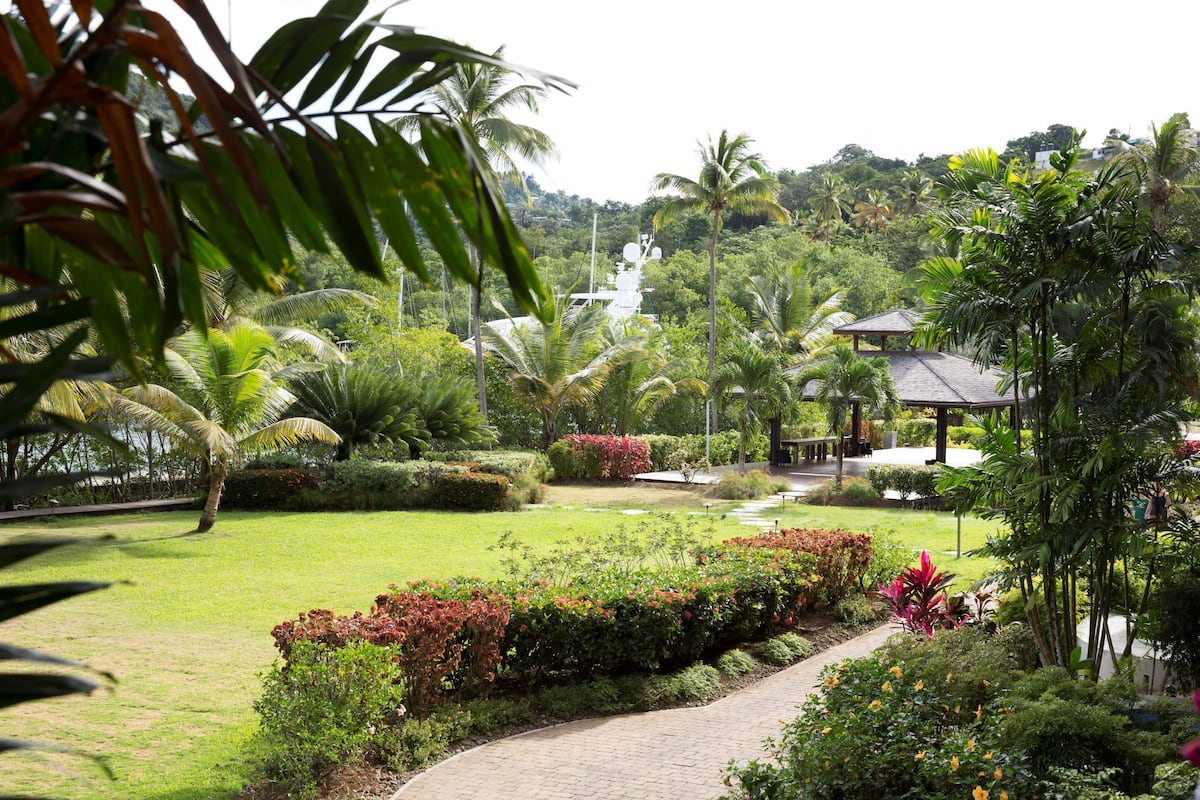 Vista al jardín
