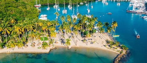 Free beach shuttle, sun-loungers, beach towels, windsurfing