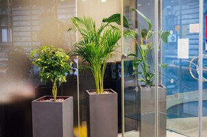 บริเวณประตูทางเข้า