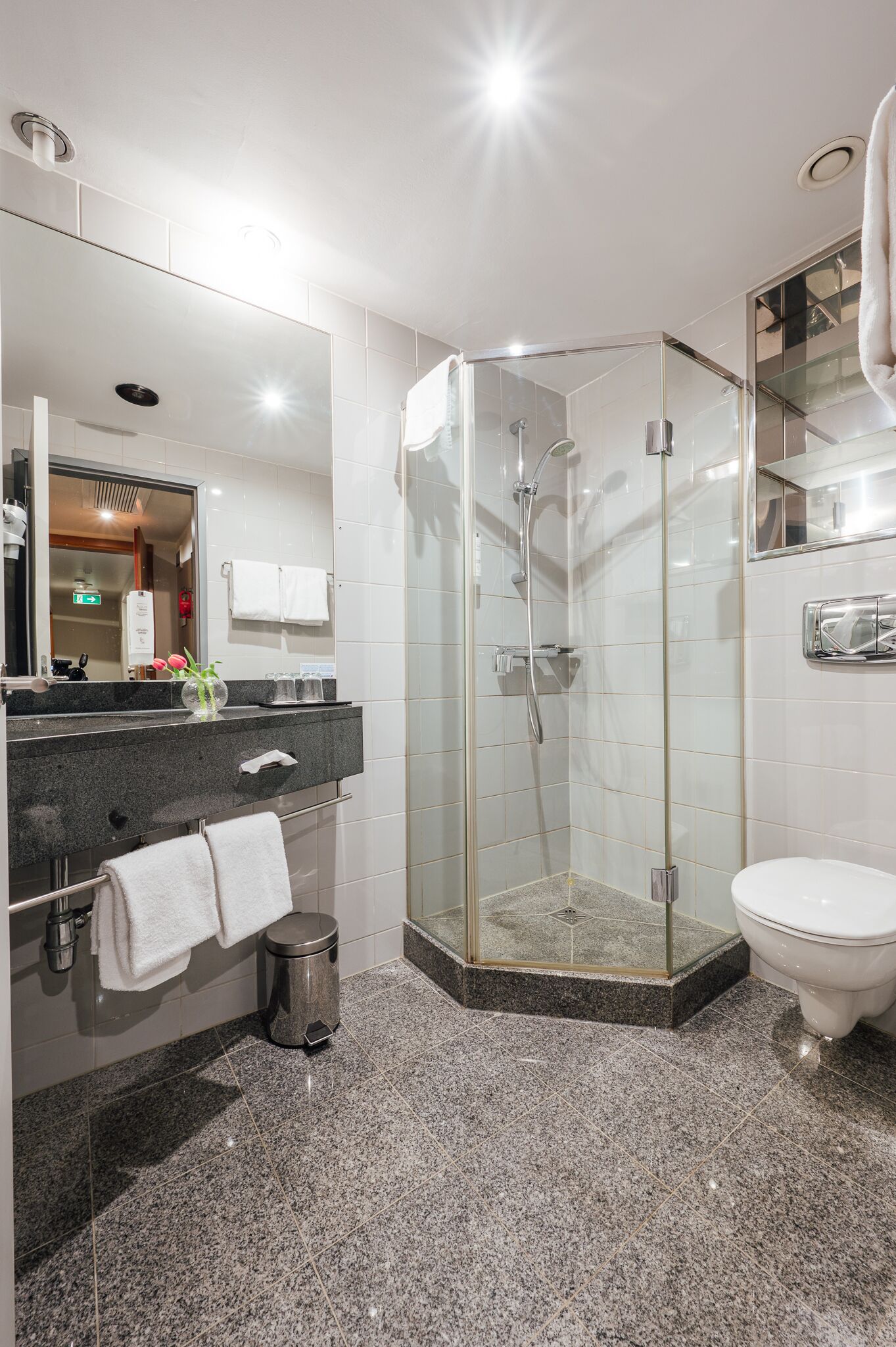 A modern bathroom with a glass-enclosed shower, a vanity with a mirror, and a toilet.