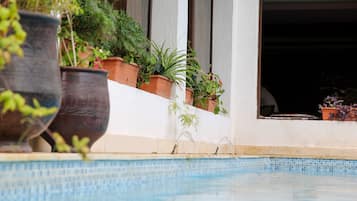 Outdoor pool, pool umbrellas, pool loungers