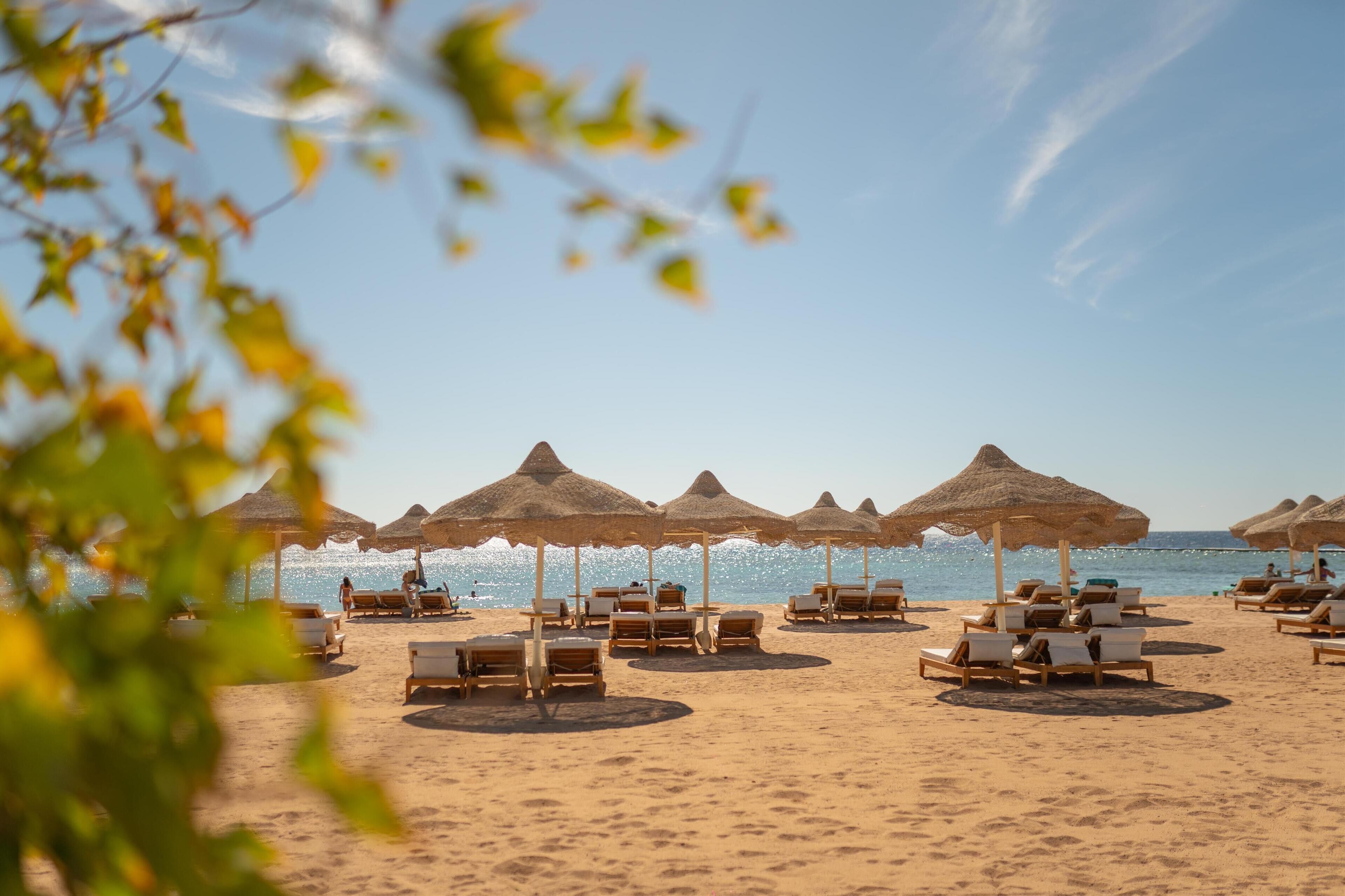 On the beach, beach bar, sailing, motor boating