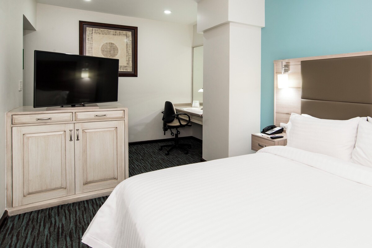 Premium bedding, in-room safe, desk, blackout curtains