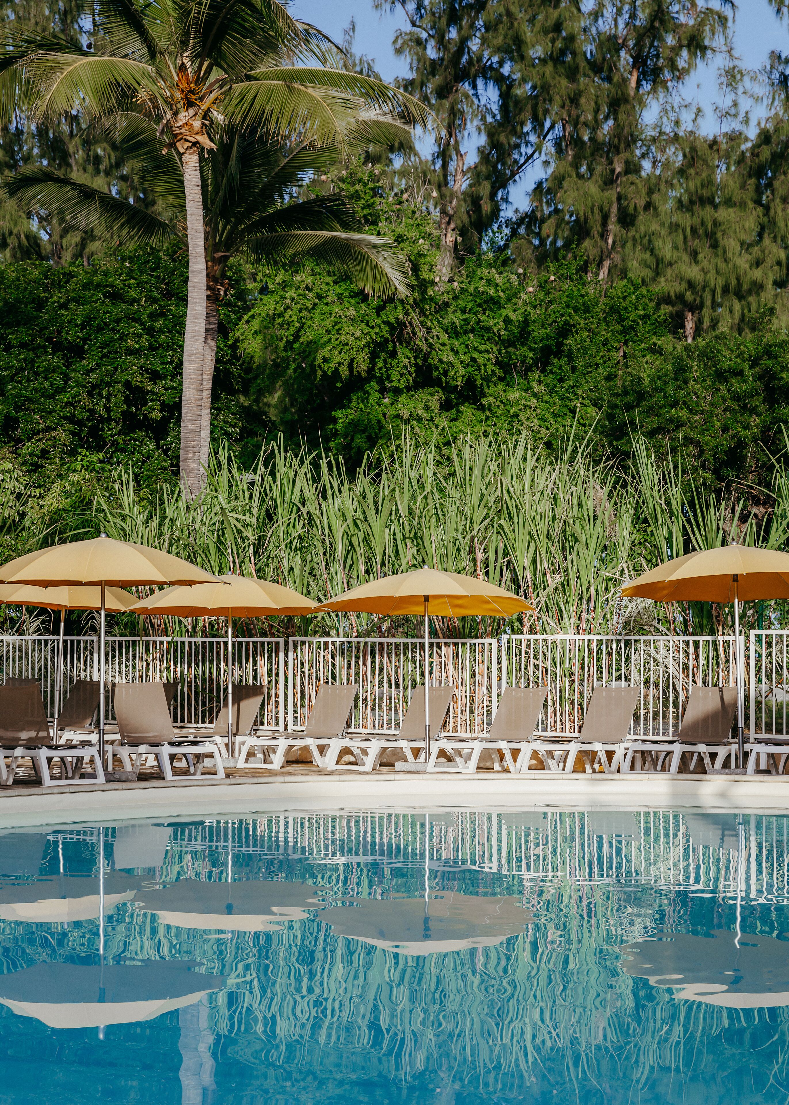 A pool area with lounge chairs and umbrellas, surrounded by greenery and a palm tree.