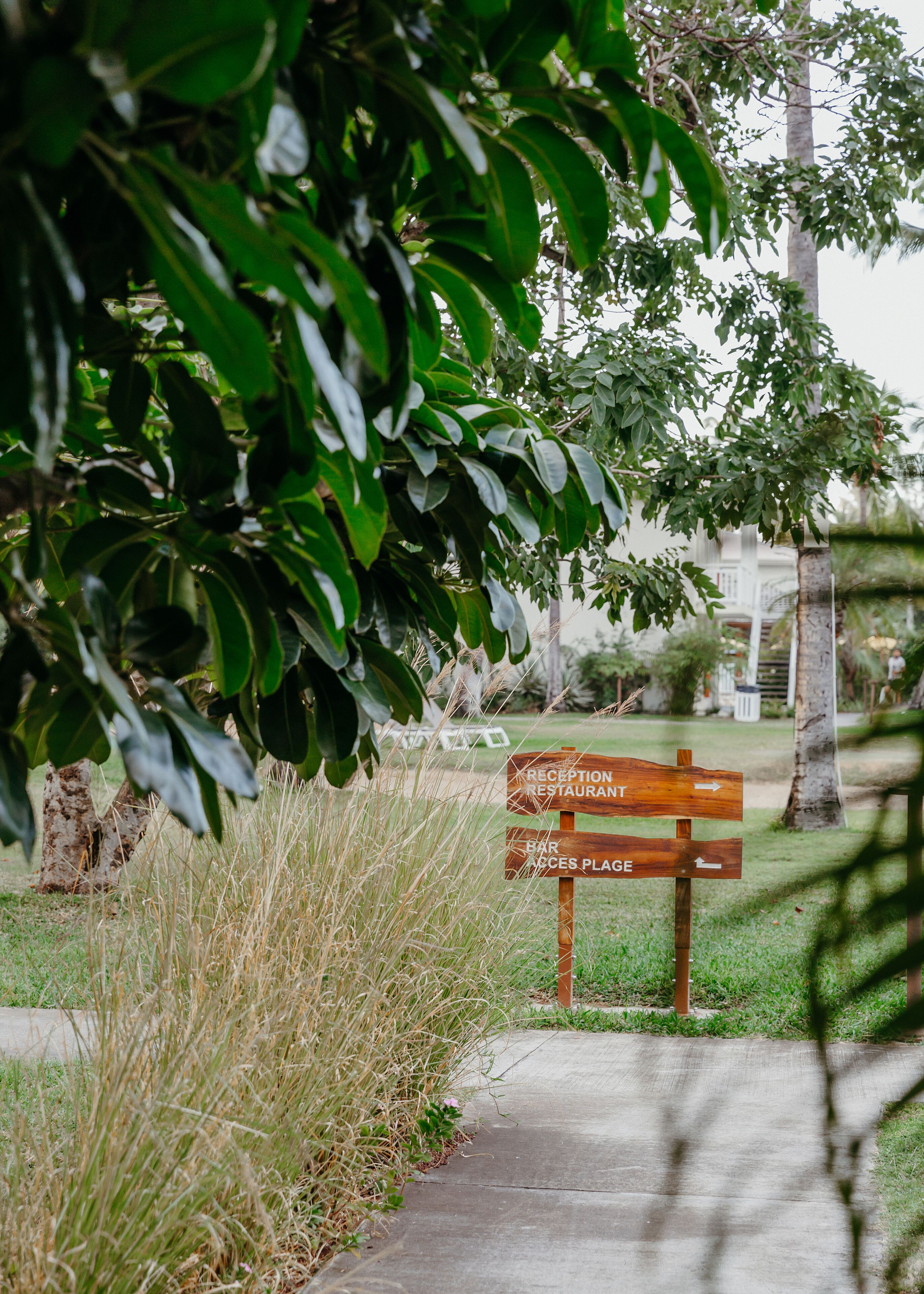 A wooden signpost with directions to the reception, restaurant, and bar access.