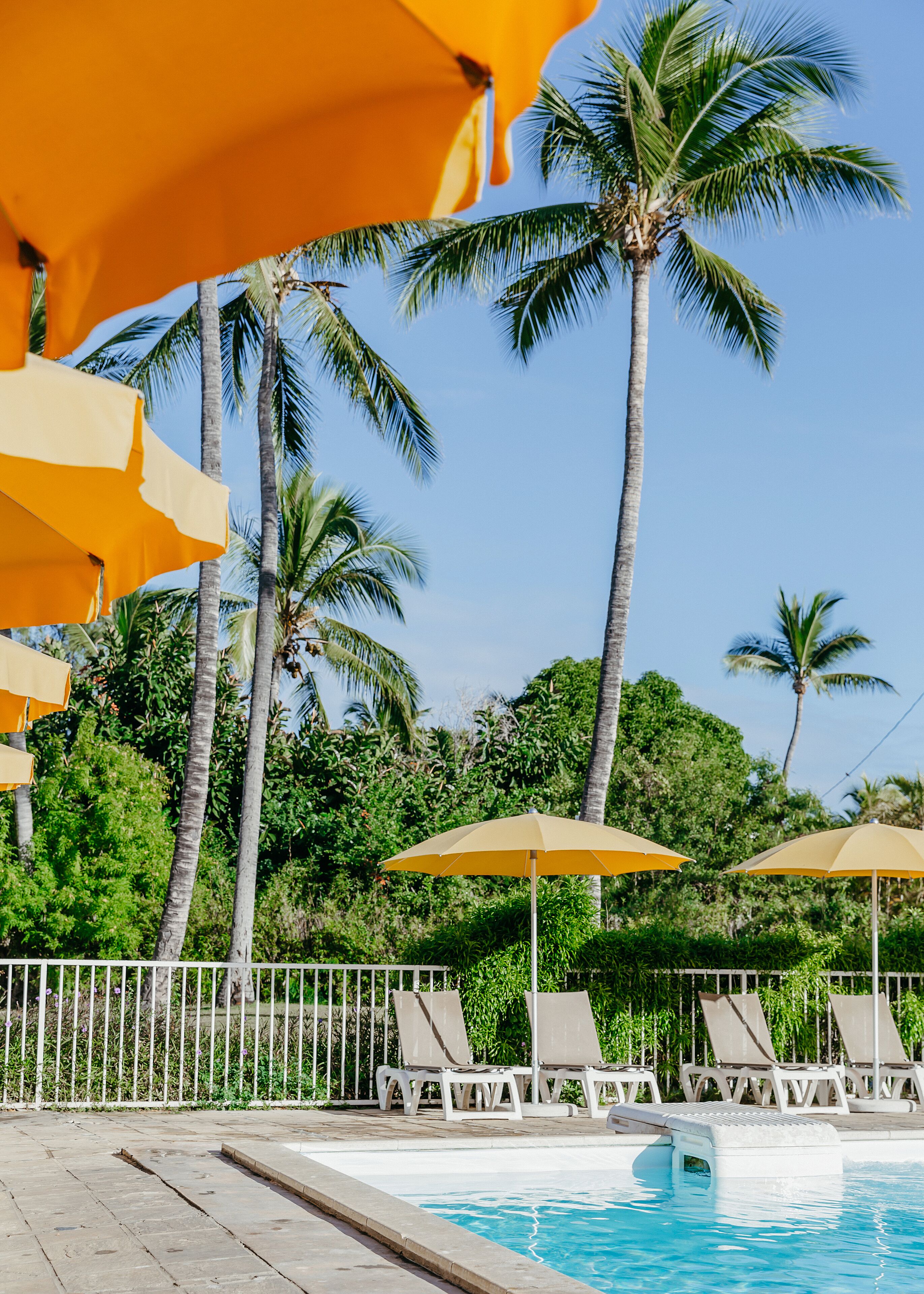 A poolside area with lounge chairs and umbrellas, surrounded by palm trees.