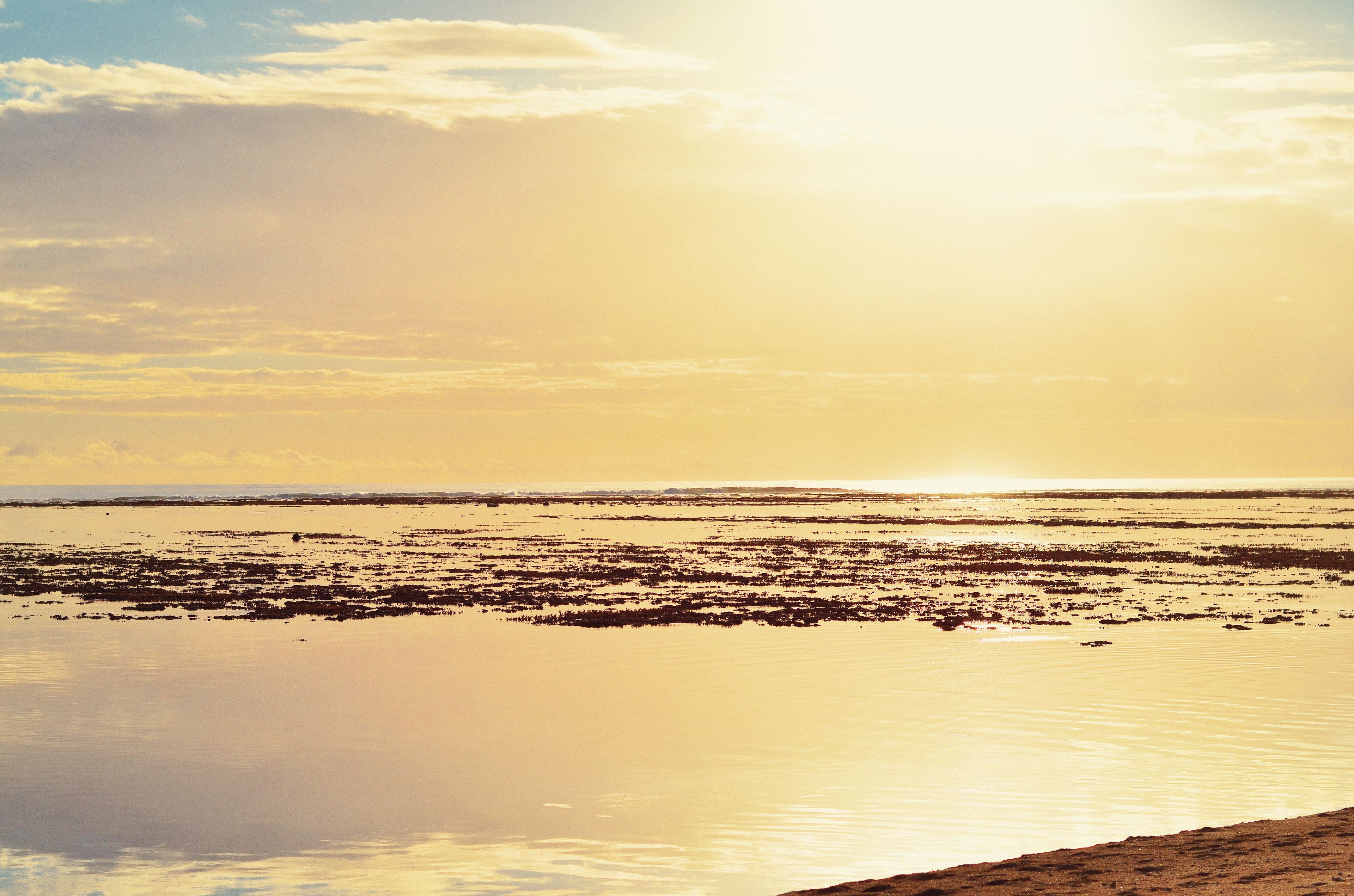 on the beach, white sand, sun-loungers, beach umbrellas