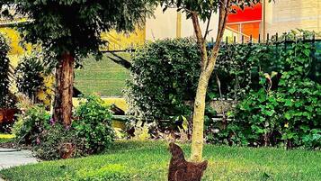 Une zone herbeuse avec un arbre et une sculpture en métal représentant un coq.
