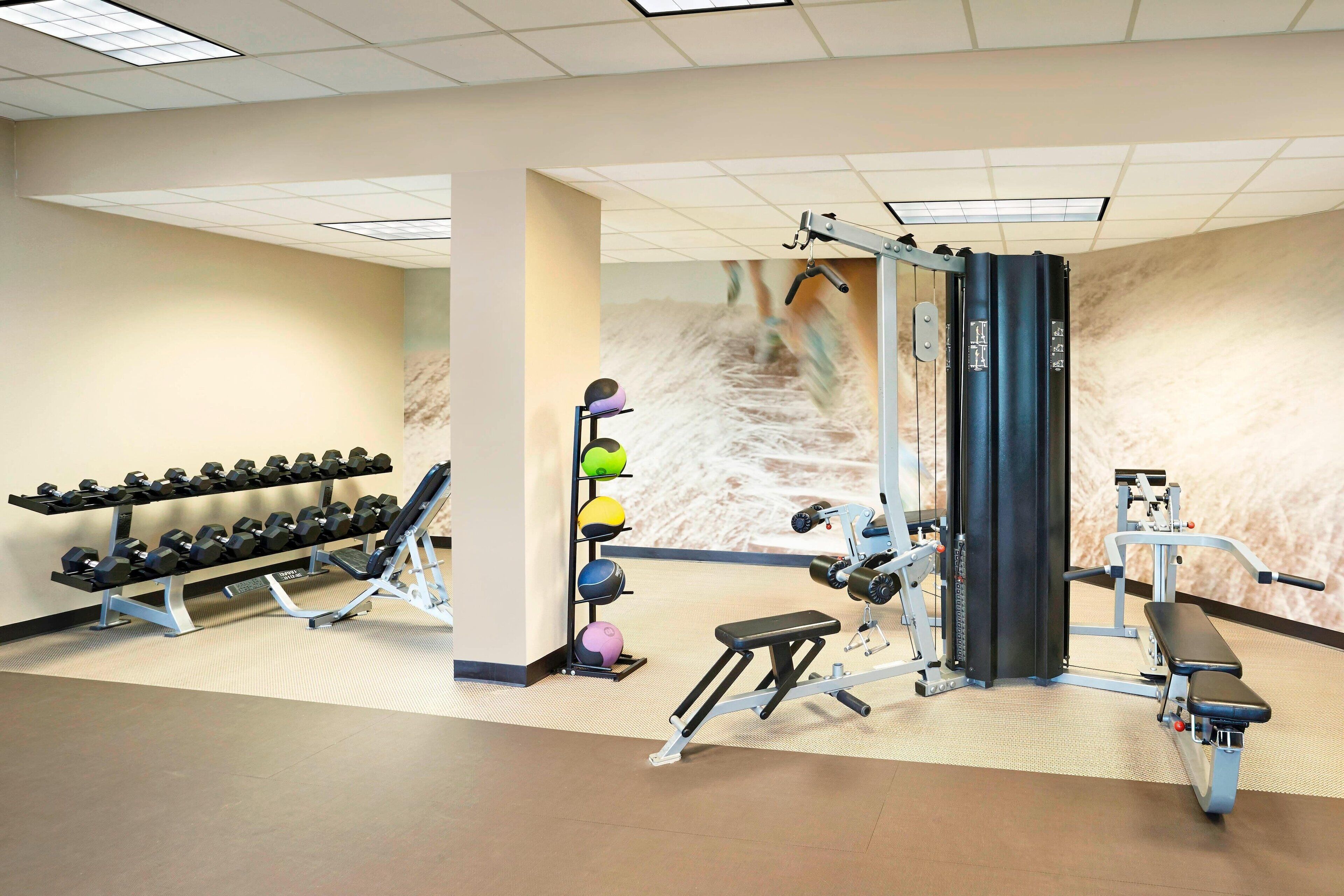 Une salle de sport équipée de matériel de musculation, d’haltères et de ballons d’exercice.